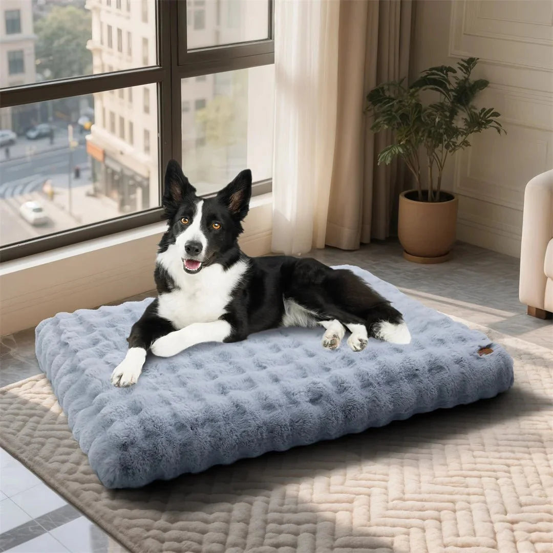 PETSERENE – Calming Bed for Dogs & Cats