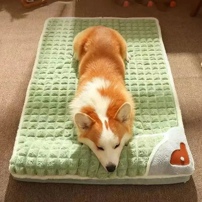 PETSOFT – Orthopedic Dog Bed with Removable Cover