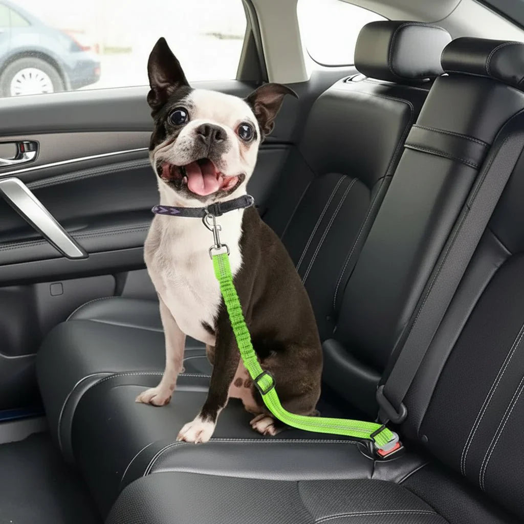 SAFETAIL – Adjustable Safety Belt for Dogs in the Car