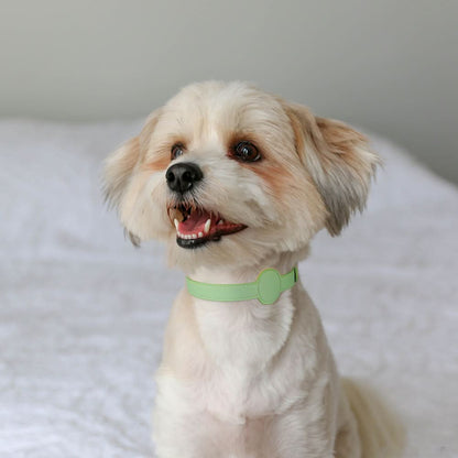 TAGSAFE – Dog Collar with Integrated AirTag Holder for Safety & Style