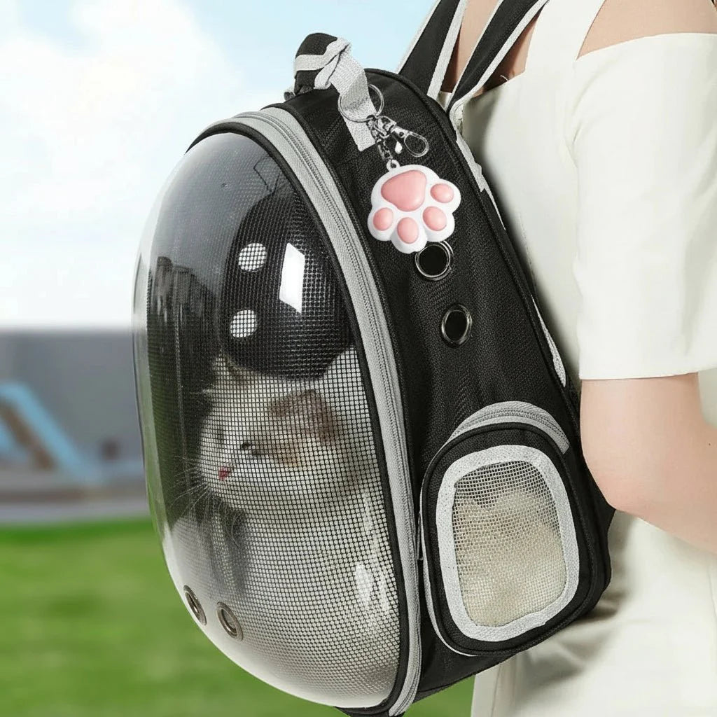 FELIFUN – Interactive Cat Laser Toy – 5 Adjustable Light Patterns