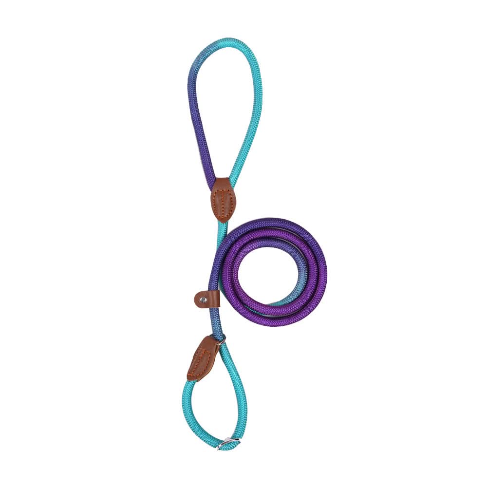 COLORLEASH – Colorful Dog Leash for Stylish Walks