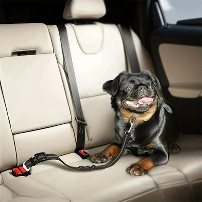 SAFETAIL – Adjustable Safety Belt for Dogs in the Car