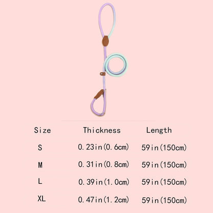 COLORLEASH – Colorful Dog Leash for Stylish Walks