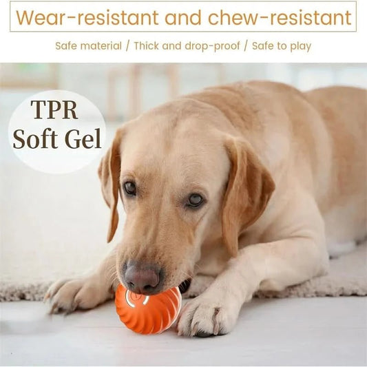 PLAYPET Interactive Dog Ball – Rechargeable Bouncing Ball