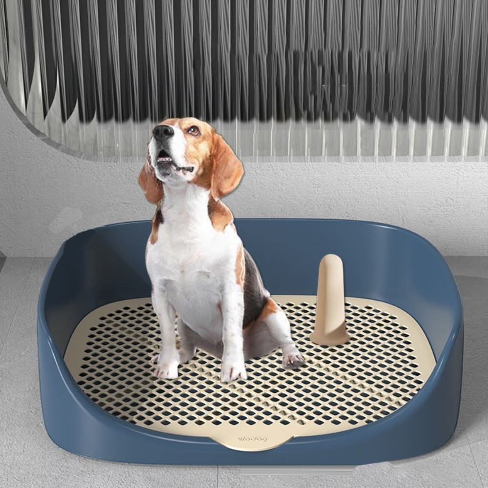 NOCLEANUP – Toilet Trainer for Puppies with Anti-Splash Rim