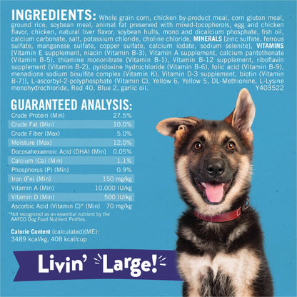 Purina Puppy Chow Large Breed Puppy Food – High Protein Chicken Formula Dry Dog Food, 30 lb Bag.