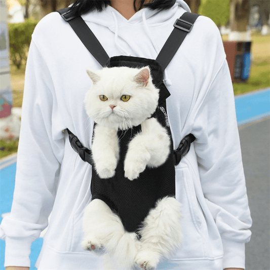 PETGO – Breathable travel backpack for comfortable pet carrying