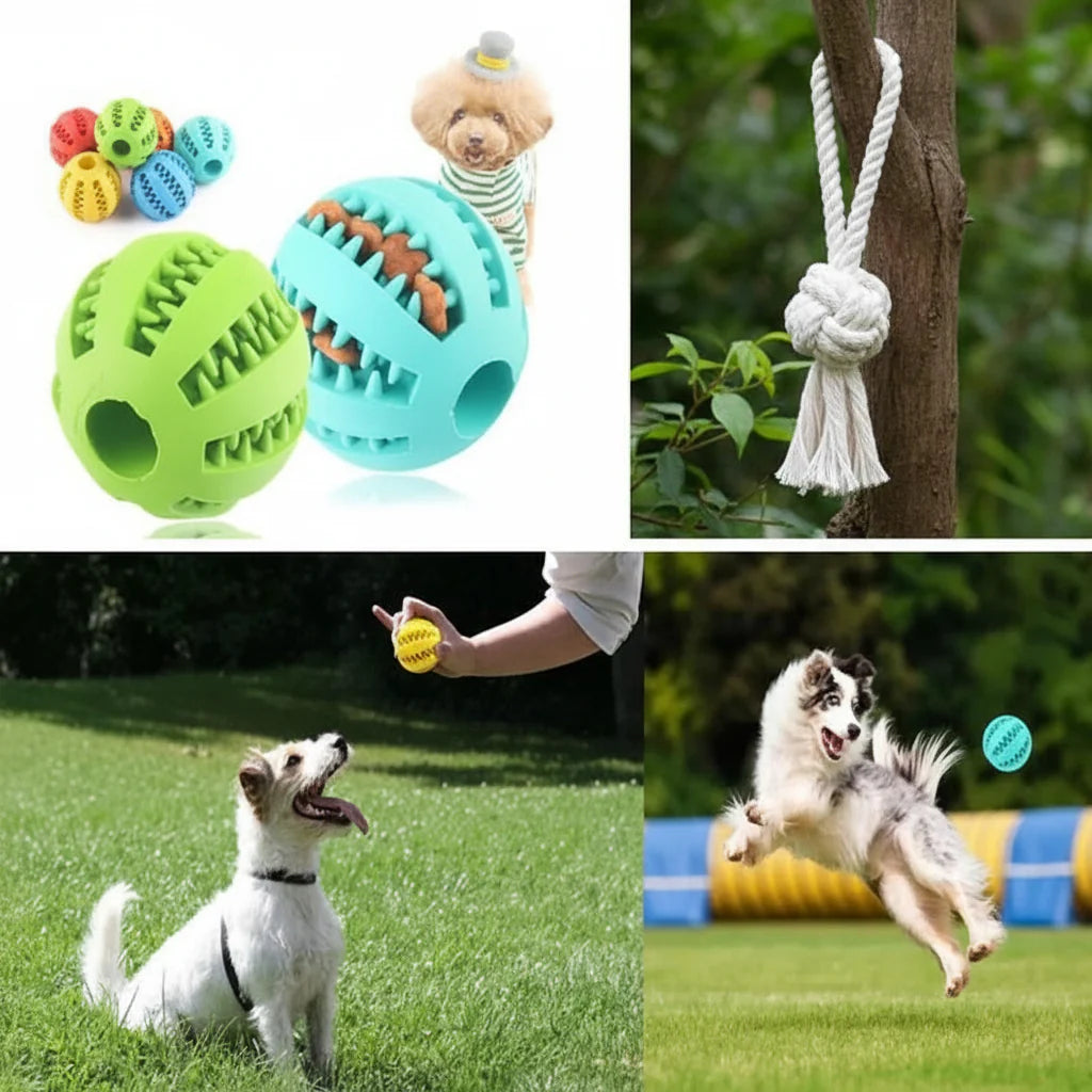 PLAYNIBBLE BALL – Interactive Treat Ball & Chew Ball for Dogs