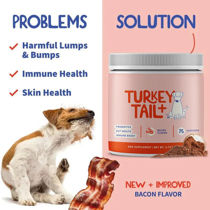 Turkey Tail Mushroom Supplement for Dogs – Immune Support Powder with Beta Glucans for Pet Health Care (100g)