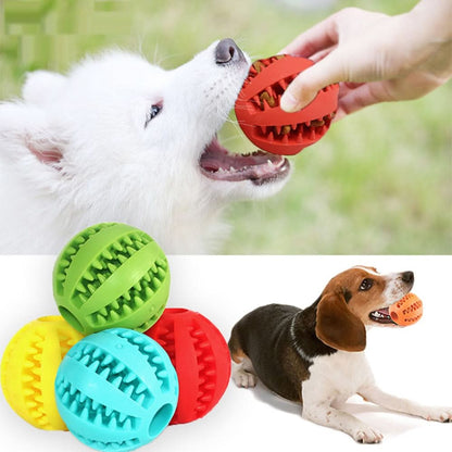 SPIELMEISTER - Interactive dog toy with dental care effect
