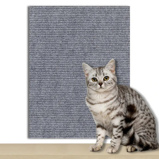 CATSTICKSHIELD – Self-adhesive protective plate for cats to protect furniture, walls & carpets