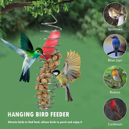 STEELSWIRL – Robust stainless steel parrot food dispenser for long-term use