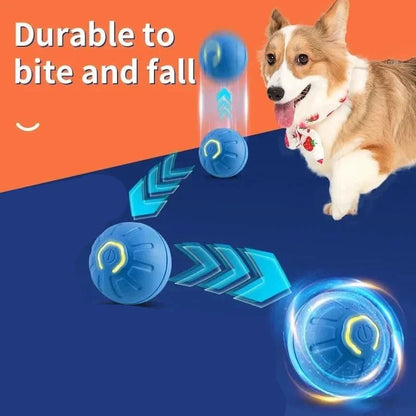 PLAYPET Interactive Dog Ball – Rechargeable Bouncing Ball