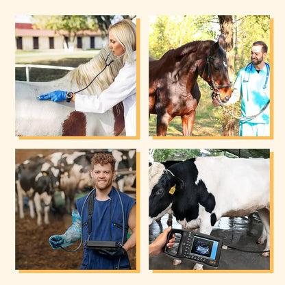 Portable Veterinary Ultrasound Scanner for Pregnancy Dog Sheep Pigs Vet Handheld Scanner with 3.5Mhz Mechanical Probe