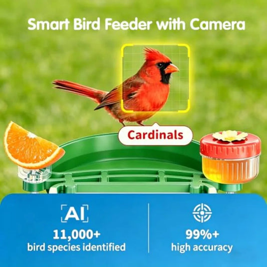 Smart Bird Feeder with 4K UHD Camera, AI Bird Identification, Instant Arrival Alerts, Solar Powered, 5200mAh Rechargeable Battery