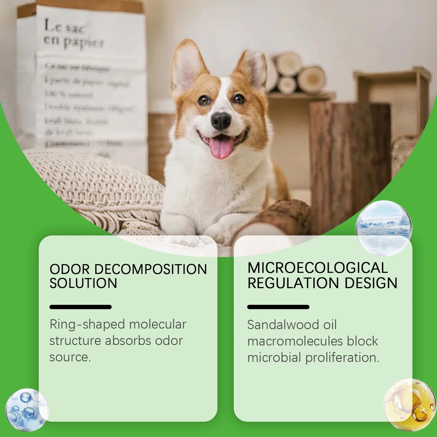 Pet Odor Eliminator Spray – Removes Cat & Dog Urine Odors from Carpet & Furniture