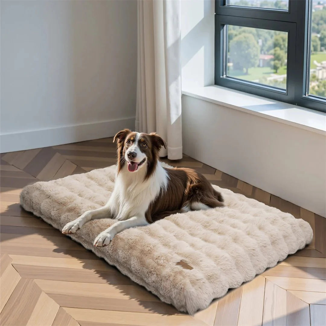 PETSERENE – Calming Bed for Dogs & Cats