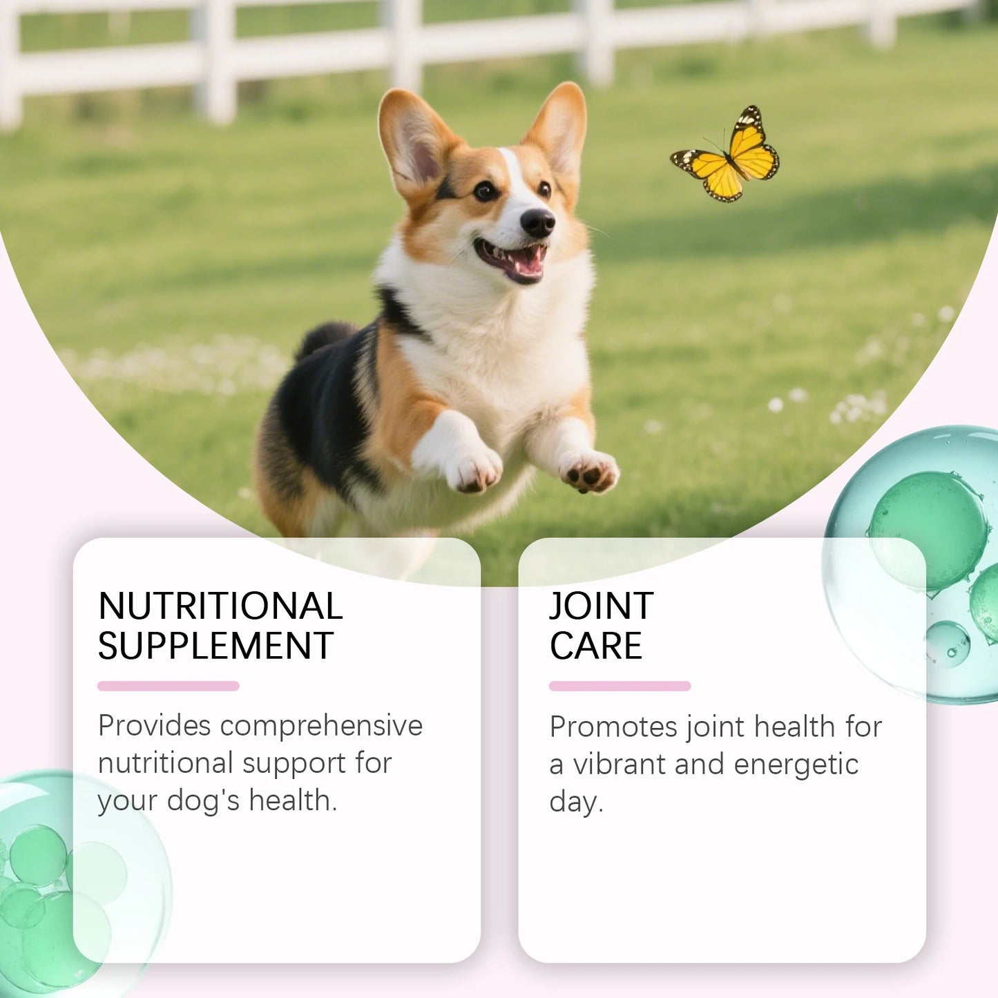 Dog Collagen Drops 60ml | Joint, Bone, Skin & Coat Health Support Supplement