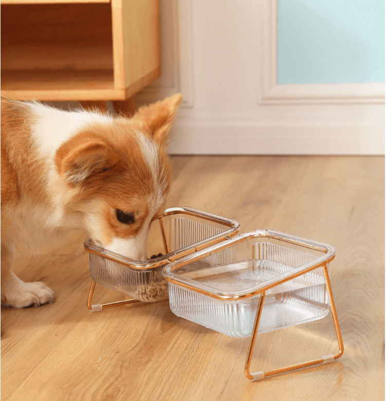 PETCHIC - Raised food bowl for cats & small dogs
