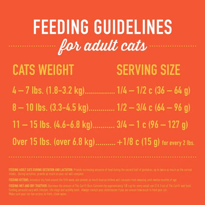 Tiki Cat Born Carnivore Indoor Health Dry Cat Food Chicken & Turkey Meal Recipe High Protein Grain-Free Indoor Cats 3 lb