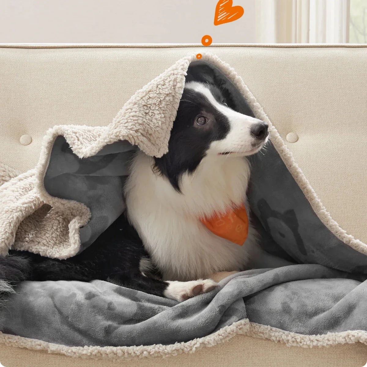 FURBLANKET – Soft Blanket for Dogs & Cats