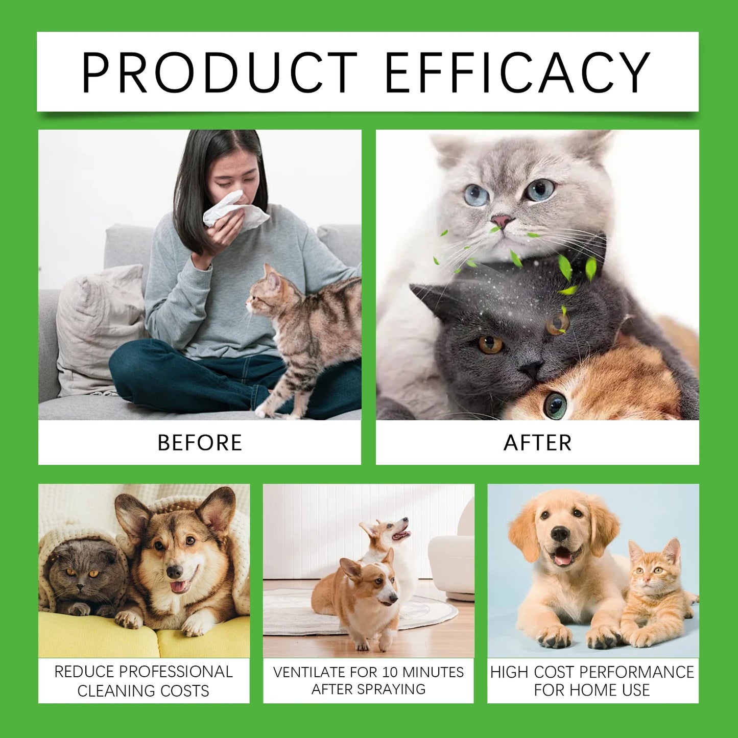 Pet Odor Eliminator Spray – Removes Cat & Dog Urine Odors from Carpet & Furniture