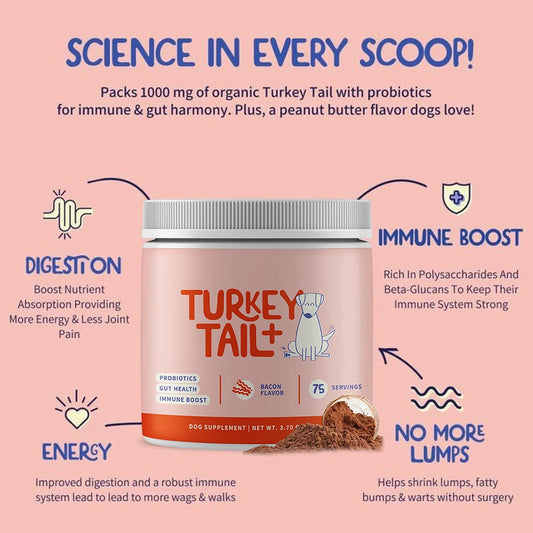 Turkey Tail Mushroom Supplement for Dogs – Immune Support Powder with Beta Glucans for Pet Health Care (100g)