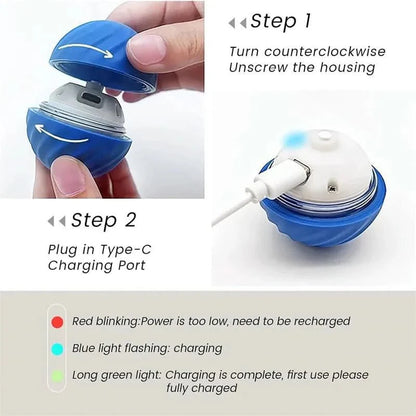 PLAYPET Interactive Dog Ball – Rechargeable Bouncing Ball
