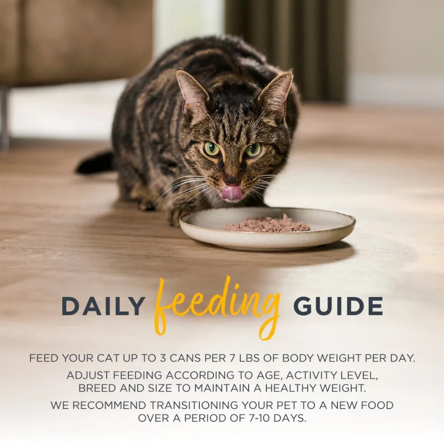 Reveal Natural Wet Cat Food Chicken Selection in Broth, Grain-Free Premium Cat Food, 12 Pack 2.47 oz Cans