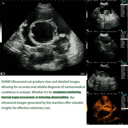 DAWEI Portable Veterinary Ultrasound Scanner Handheld Vet Pregnancy Machine for Horse Cattle Camel, 3.5MHz Rectal Probe