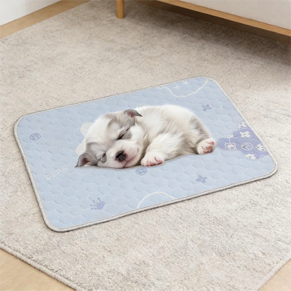 FROSTFUR – Cooling Mat for Dogs & Cats with Ice-Silk Surface
