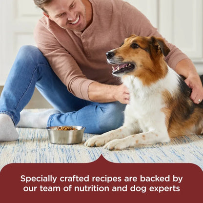 Rachael Ray Nutrish Adult Dry Dog Food – Real Beef, Pea & Brown Rice Recipe 13 lb