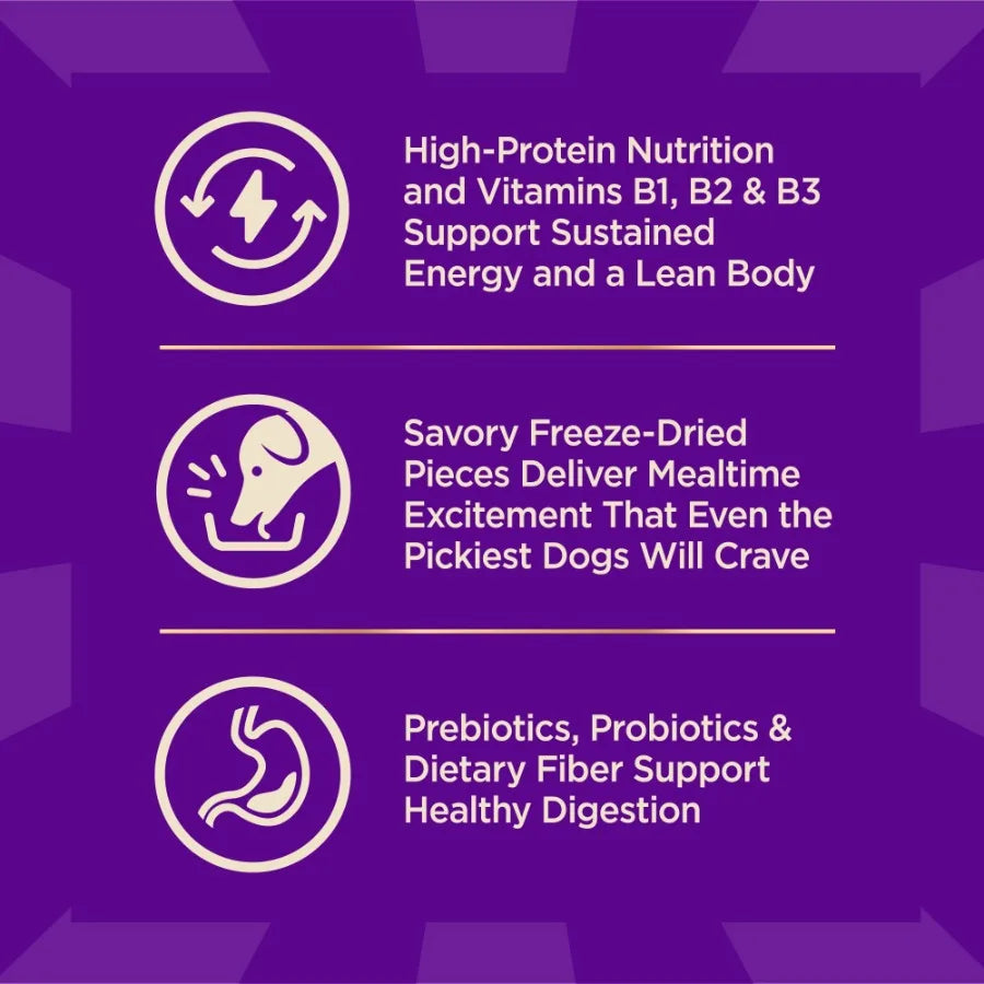Wellness CORE+ Grain Free Dry Dog Food with Freeze-Dried Pieces – High Protein Natural Dog Food, Ocean Whitefish, Herring & Salmon Recipe, 4 lb Bag