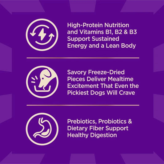 Wellness CORE+ Grain Free Dry Dog Food with Freeze-Dried Pieces – High Protein Natural Dog Food, Ocean Whitefish, Herring & Salmon Recipe, 4 lb Bag