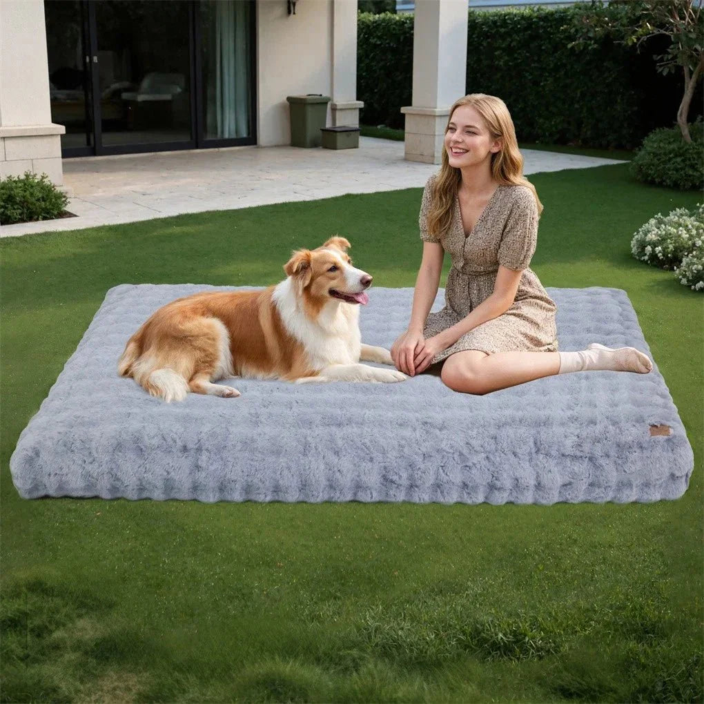 PETSERENE – Calming Bed for Dogs & Cats