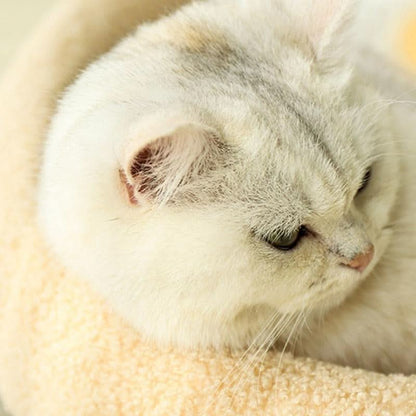 VelvetPaws Den – Stylish retreat with scratching surface & cozy cushion