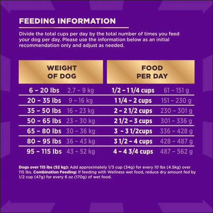 Wellness CORE+ Grain Free Dry Dog Food with Freeze-Dried Pieces – High Protein Natural Dog Food, Ocean Whitefish, Herring & Salmon Recipe, 4 lb Bag