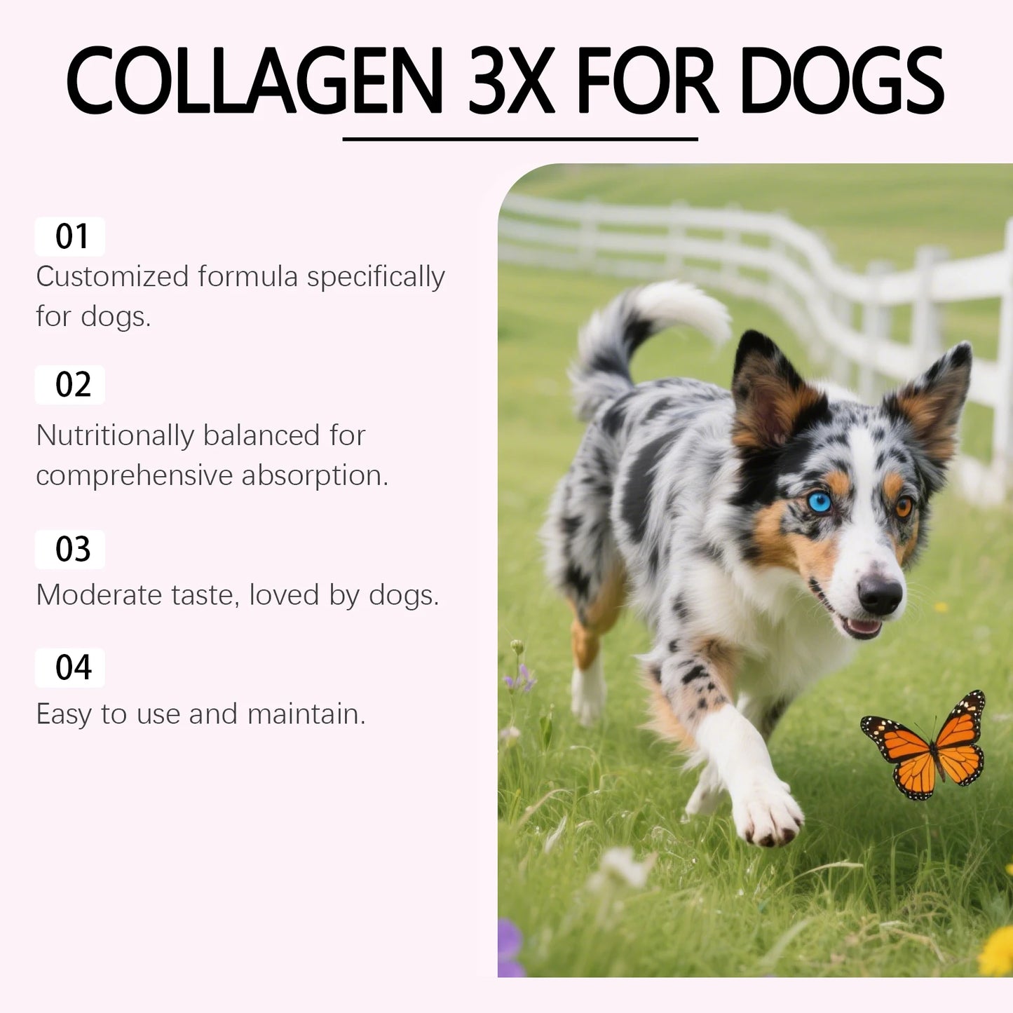 Dog Collagen Drops 60ml | Joint, Bone, Skin & Coat Health Support Supplement