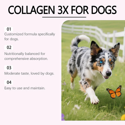 Dog Collagen Drops 60ml | Joint, Bone, Skin & Coat Health Support Supplement