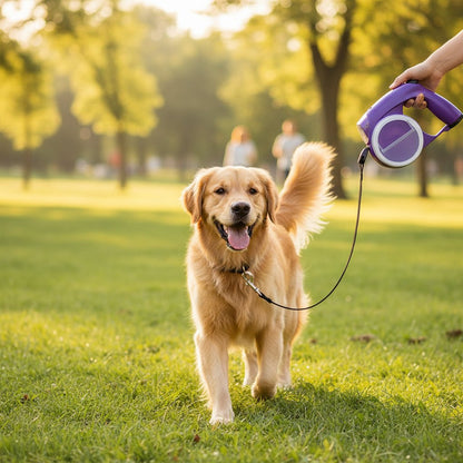 ADVENTUREPAWS ELITE LEASH – Adjustable Dog Leash for Safety & Comfort