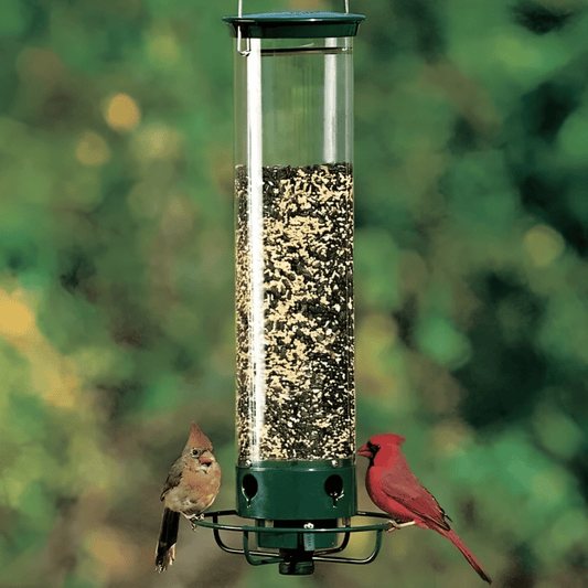 NutriGuard – Squirrel-Proof Birdhouse with Weight-Controlled Feeder