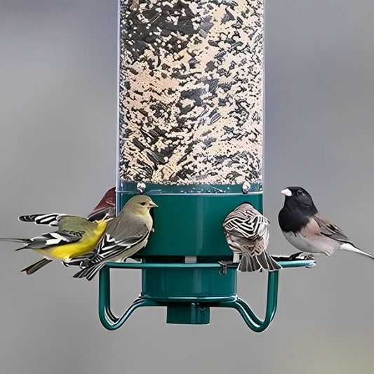NutriGuard – Squirrel-Proof Birdhouse with Weight-Controlled Feeder