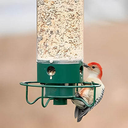 NutriGuard – Squirrel-Proof Birdhouse with Weight-Controlled Feeder