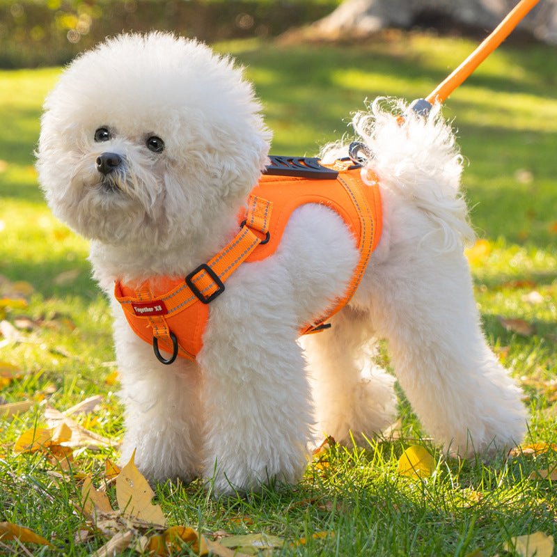 PAWTRIX – Comfortable, Reflective Dog Harness for Safe Walks