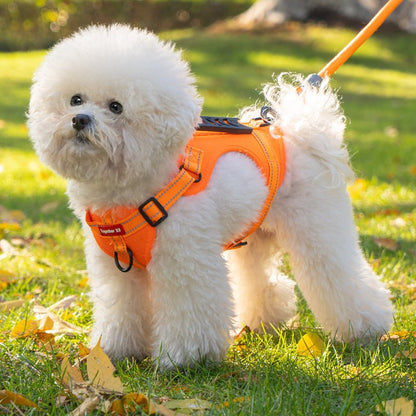 PAWTRIX – Comfortable, Reflective Dog Harness for Safe Walks
