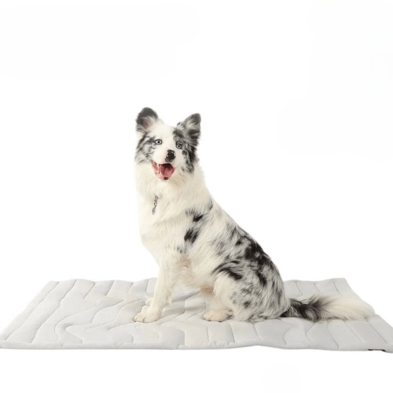 CHILLTAIL COOL MAT – Self-cooling dog mat for hot summer days