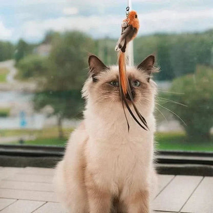 WINGWHIRL – Interactive Cat Toy with Fluttering Wings