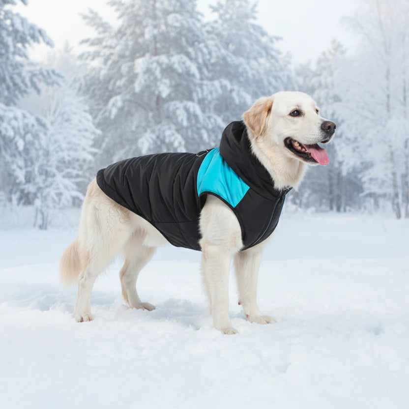SnugTail – Warm & Waterproof Winter Jacket for Dogs
