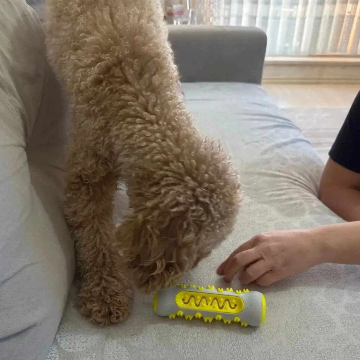 SERENITAIL – Fragrant Dog Toy with Gentle Herbal Infusion